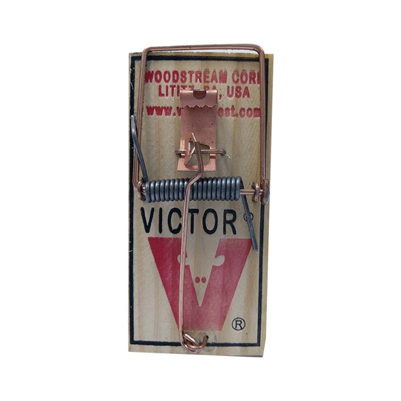 TRAMPA PARA RATON CHICA VICTOR VIC040              