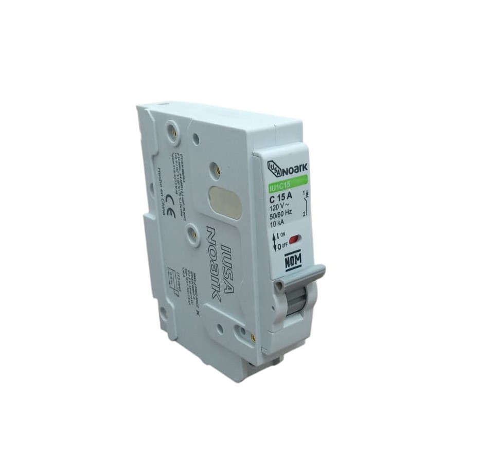 INTERRUPTOR TERMOMAGNETICO 60A 1POLO IUSA          