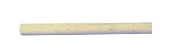 MANGO DE MADERA P/CEPILLO DE IXTLE 48"             