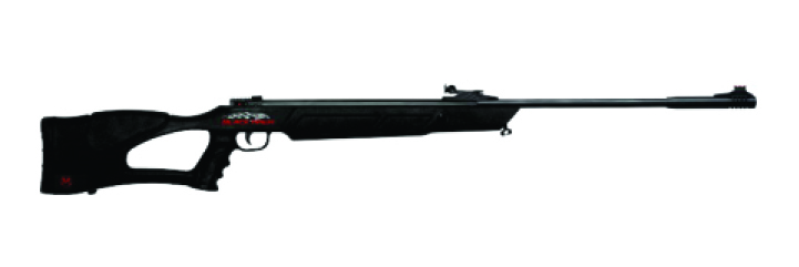 RIFLE BLACK HAWK POL.C/CARGADOR CAL.5.5 MENDOZA    