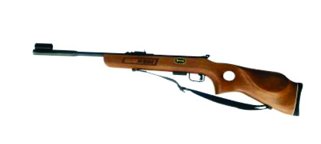 RIFLE RM-700 BARNIZ C/CARGADOR CAL.5.5 MENDOZA     
