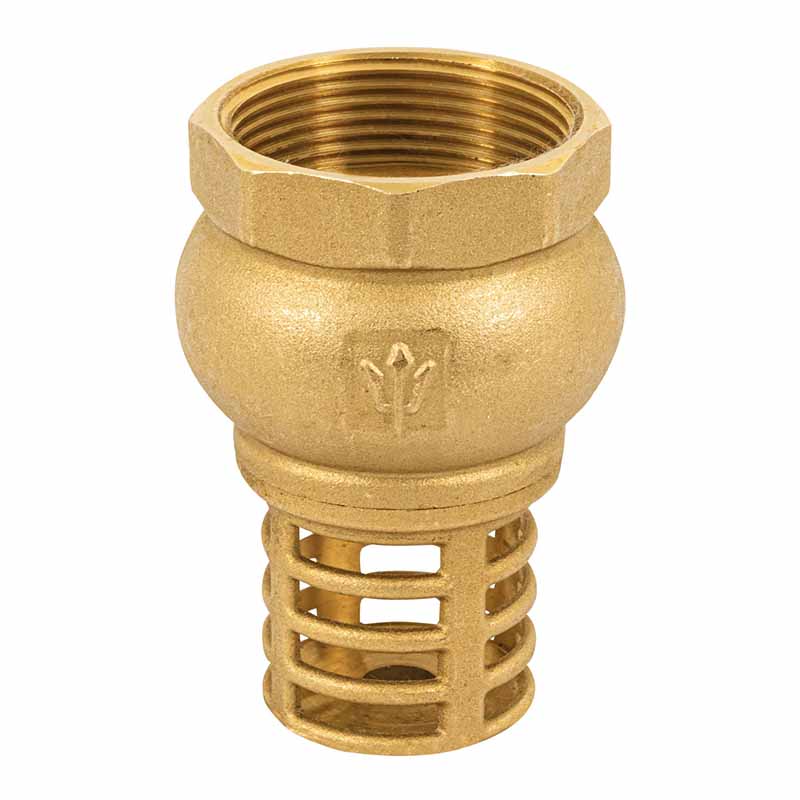 VALVULA PICHANCHA 11/2" PICHA-1-1/2 FOSE           