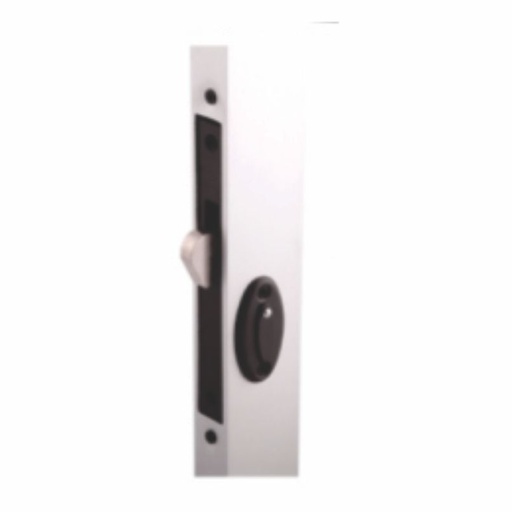 [77217] CERRADURA P/ALUM. DE GANCHO GRIS 2019 DEXTER X-300 